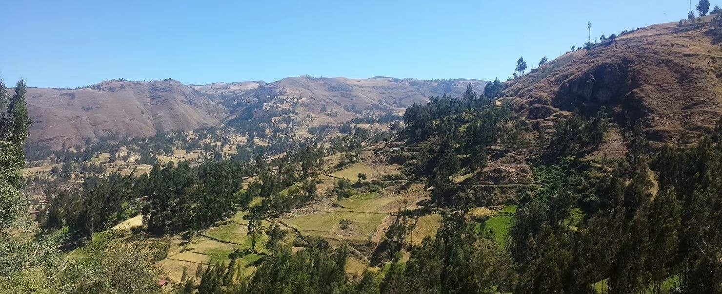 The highlands around Cajamarca in northern Peru: terraced fields and eucalyptus running up the ridges, with the sierra beyond.